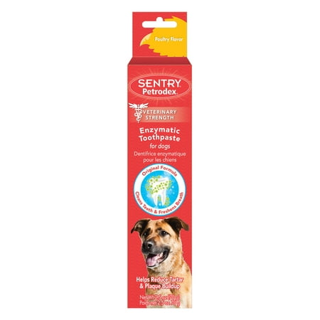 Petrodex 51101 2.5 oz Poultry Flavor Dog
