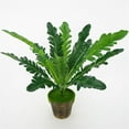 thumbnail image 1 of pitrice 12-branches Artificial Fern Plant Leaf Table Centerpiece Plant Decor Plastic artificial Fern Ornament, 1 of 8