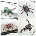 thumbnail image 3 of Soumake 3D Spider Lizard Scorpion Car Sticker Vehicle Window Mirror Bumper Decal Decor, 3 of 8