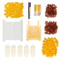 thumbnail image 4 of Kit d'Élevage d'Abeilles, Kit d'Élevage de Reines, Outil d'Apiculture Robuste et Durable, 4 of 7