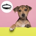 thumbnail image 3 of Collar de perro con el collar plástico del animal doméstico del diseño del clip de la hebilla ajustable, 3 of 5