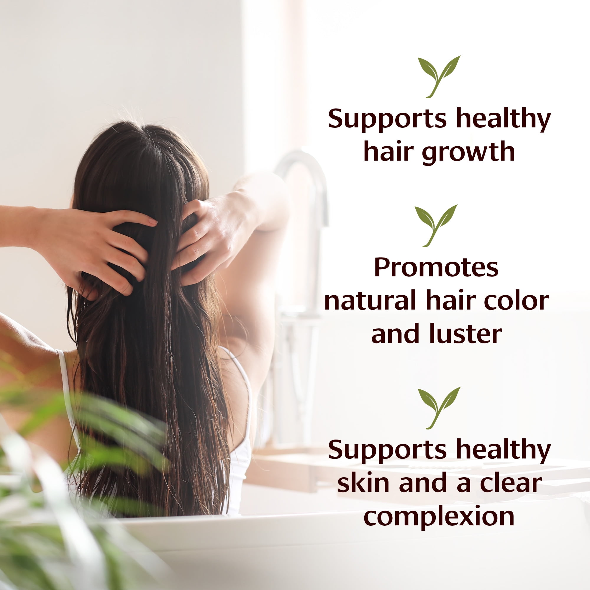 Banyan Botanicals Organic Bhringaraj Oil – Supports Healthy Hair Growth – Oil Made with Traditional Methods – 24 oz. – Non-GMO Sustainably Sourced Ayurvedic Hair Oil