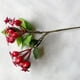 thumbnail image 4 of Ramo floral de ramas de bayas de frutas y flores de plantas artificiales de plástico rojo, 4 of 9