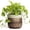 Brown, variant on Ordivic 6 inch Black Ceramic Planter with Drainage Hole & Plug, Round Flower Pot for Succulents & Cactus, Indoor Outdoor for Home Office Desk, Housewarming Gift