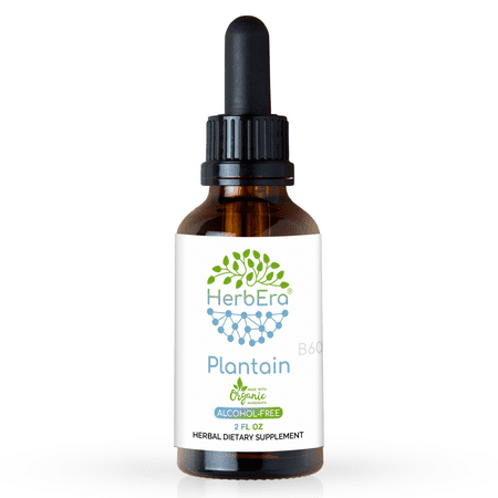 Plantain Alcohol-FREE Herbal Extract Tincture, Super-Concentrated Organic Plantain (Plantago major)...