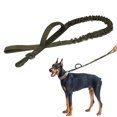 thumbnail image 1 of Service Dog Leash Stretchy Pet Walking Leash Dog Training Leash for Outdoor, 1 of 10