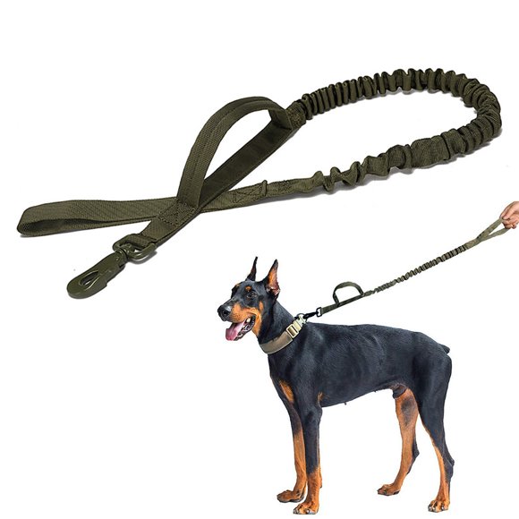 Service Dog Leash Stretchy Pet Walking Leash Dog Training Leash for Outdoor