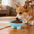 thumbnail image 5 of Cat Bowl Anti-Vomiting Tilted Elevated Cat Food Bowl Whisker Friendly Slanted Feeding Bowls with Shallow & Tall Design Blue, 5 of 7