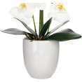 thumbnail image 5 of Artificial Orchid Arrangements with Large Vase 20-24 Inch Fake Flower Table Centerpiece Home Decor Indoor (Large White), 5 of 5