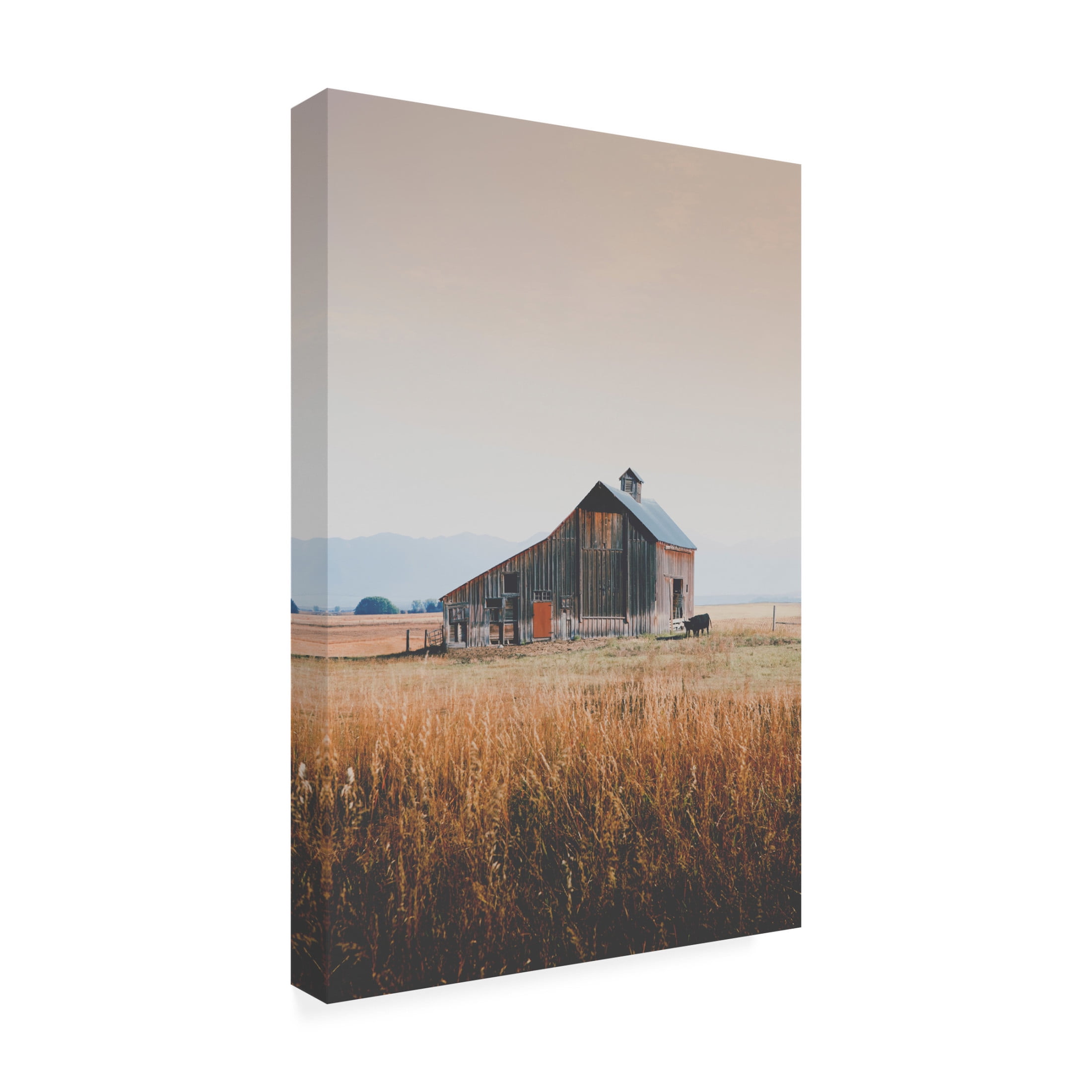 Canvas Wall Art - Annie Bailey Art 'Hand Raised' Wall Art for Living Room, Bedroom, or Office Décor by Trademark Fine Art - 16 x 24 Inches