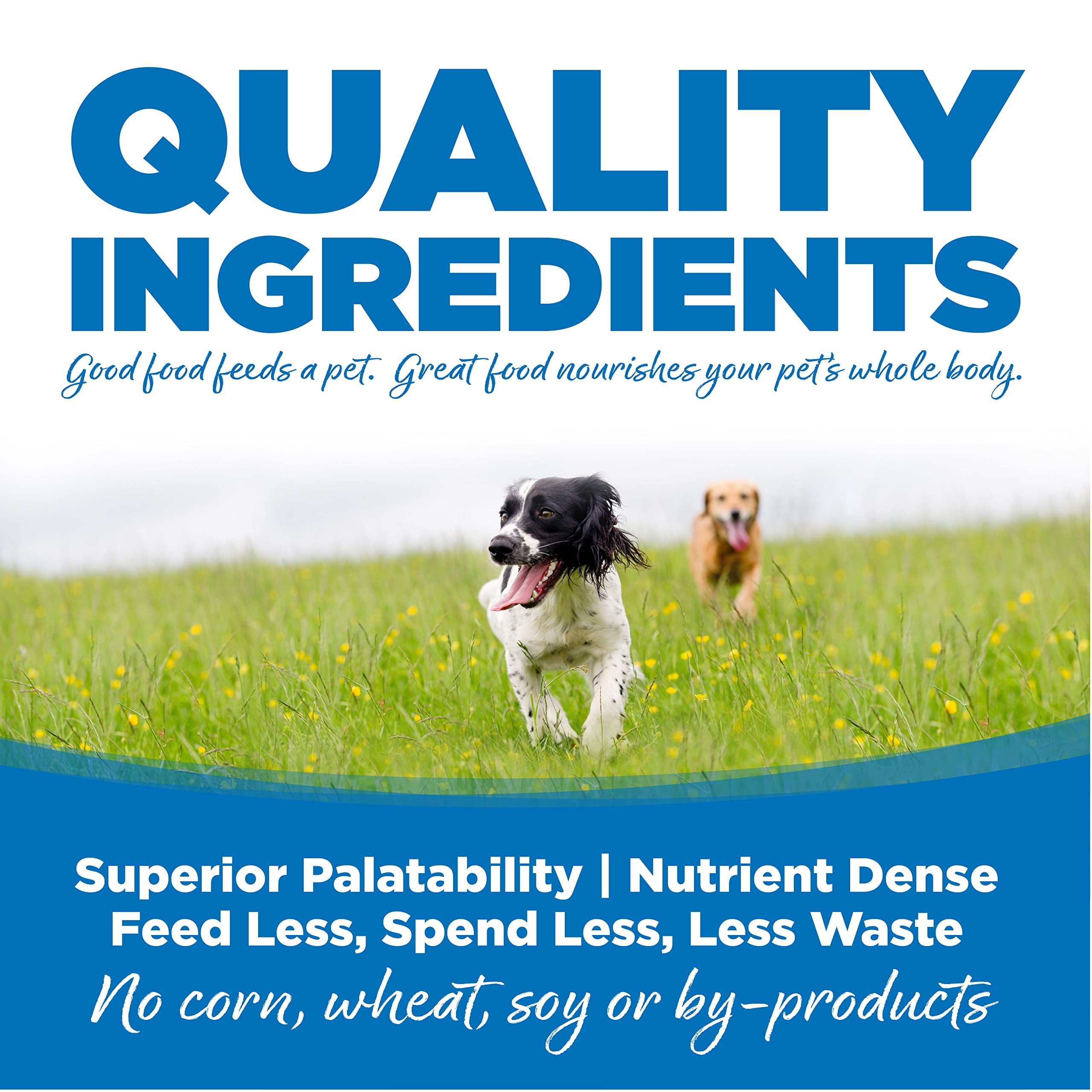 NutriSource Dry Dog Food, Chicken & Rice, Large Breed, 26 Lbs.