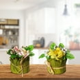 thumbnail image 2 of Maison Concepts Artificial Floral In Paper Pot Asstd - Set of 2 (2.7L X 2.7W X 4H), 2 of 3
