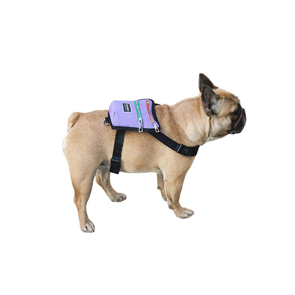 Pet Backpack Harness 2 Sizes Small Dog Pet Backpack Snack Storage Bag Cute Pet Saddle Bags with Lead Leash