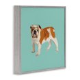 thumbnail image 3 of Stupell Industries Eclectic Bulldog Wearing Tiara Gray Framed Giclee Art, 24 x 24, by Amelia Noyes, 3 of 8