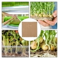 thumbnail image 2 of OULII Kit de Germination de Graines 2 Pcs Brun Clair pour Rétention d'Humidité dans le Jardin, 2 of 6