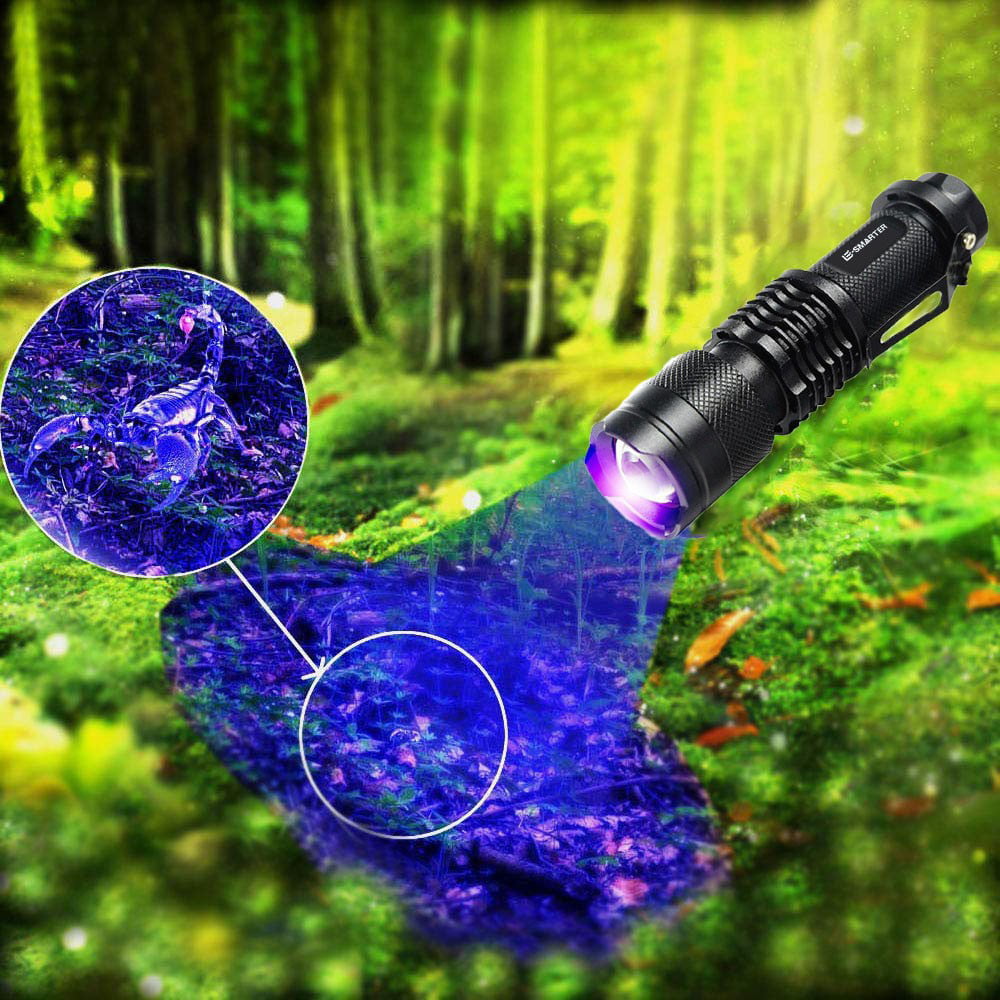 Lumière violette 395-Lampes De Poche Uv À Ultraviolets Led, Mini Torche  Zoomable, Détection D'agent Structur - Cdiscount Bricolage