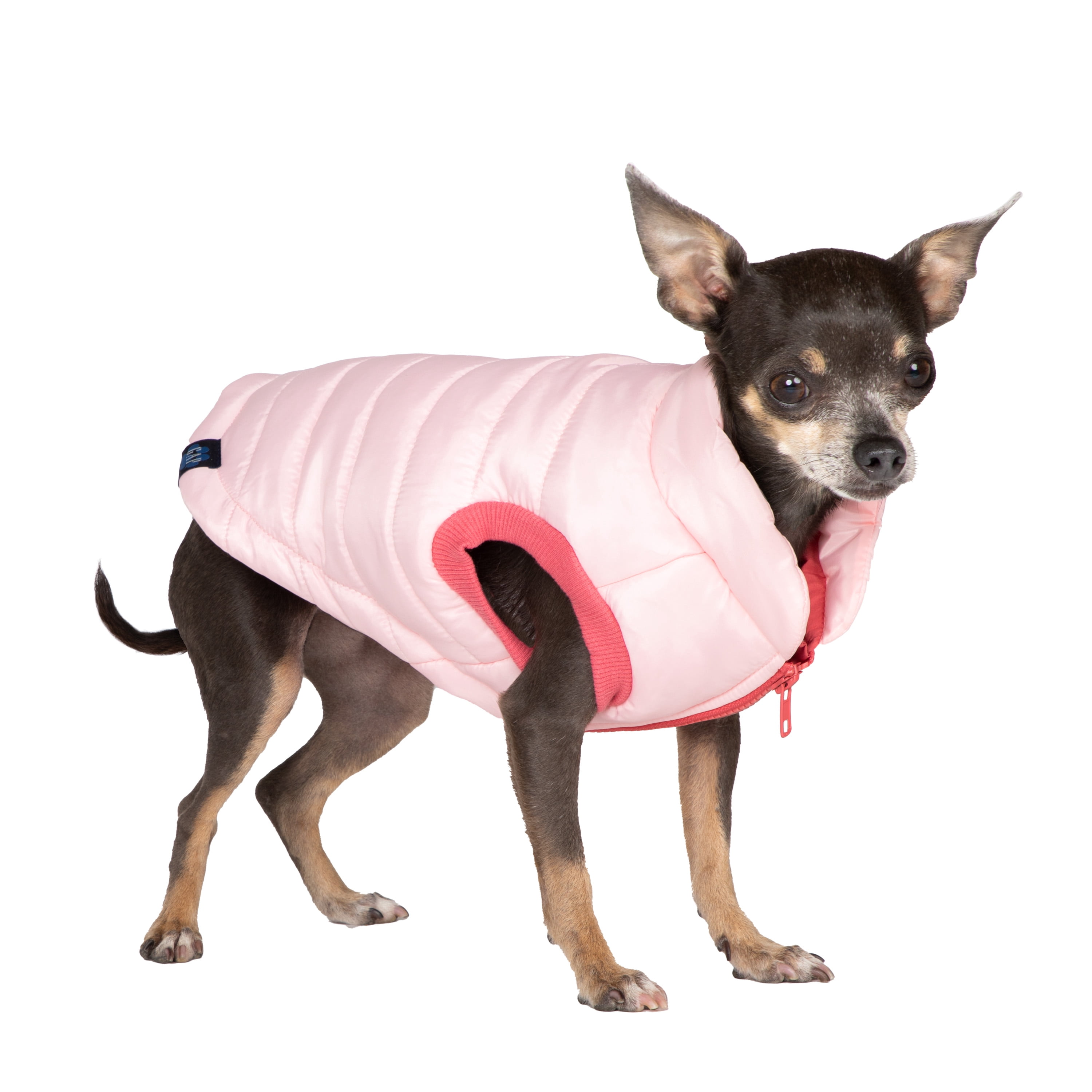 Gap Pet, Pet Jacket, Pink Bomber Dog Jacket