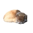 thumbnail image 4 of Transemion Wide Application Emulation Sleeping Breathing Cat For Soft Touch Safe Decoration yellow 5Set, 4 of 6