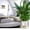B, variant on Self Watering Planter Violet Pots Clear Automatic Watering Indoor Flower Pot Flower for Indoor Large Wall Flower Pot Holders Large Garden with Tray Large Flower Outdoor Front Porch