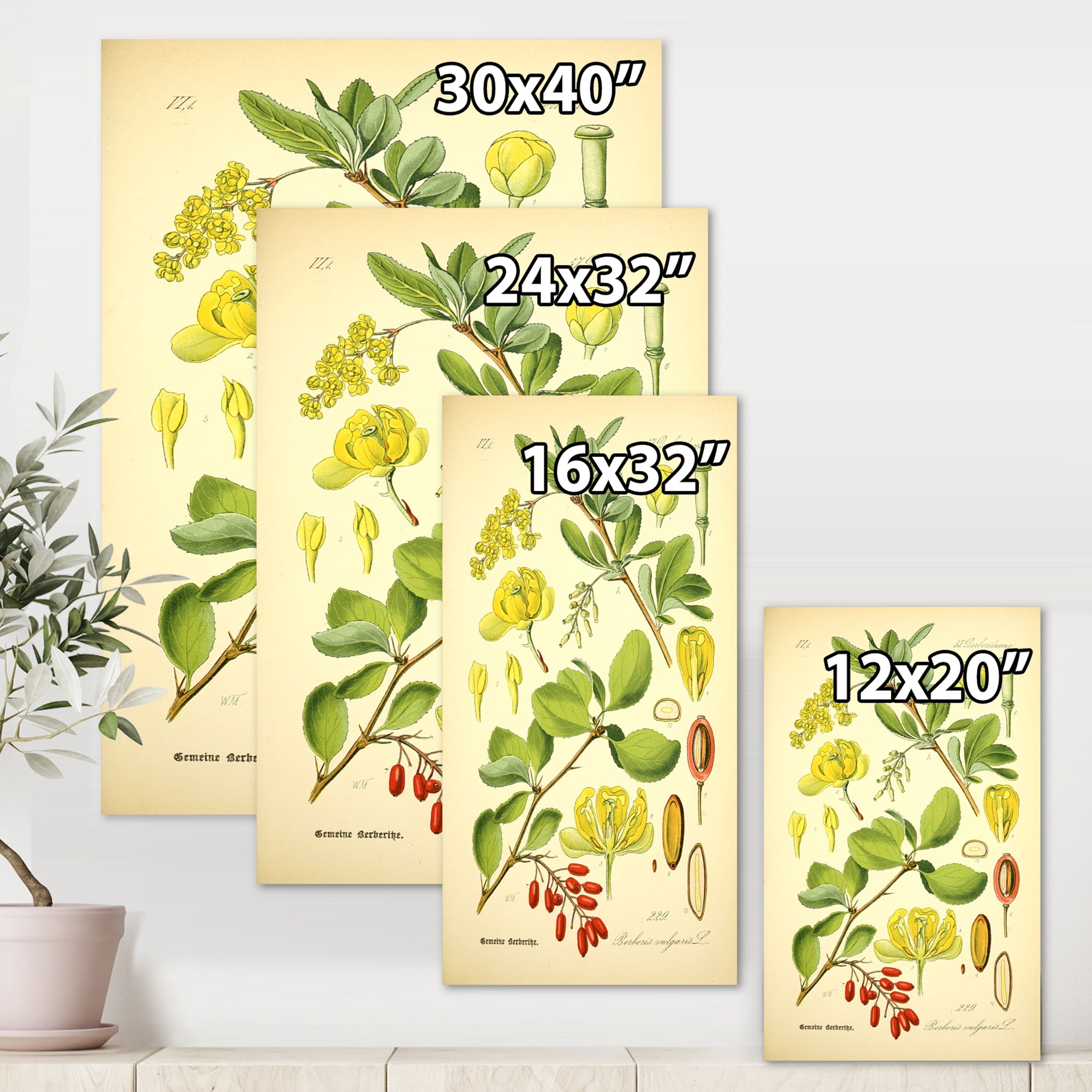 Designart ' Ancient Plant Life II ' Traditional Canvas Wall Art Print