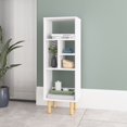 thumbnail image 2 of Essex 42.51 Bookcase with 5 Shelves in White and Zebra, 2 of 4