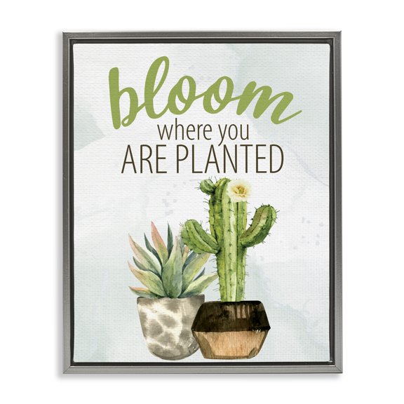 Stupell Industries Farmhouse Bloom Where You Are Planted Cactus Succulent Gray Floating Frame Canvas Art, 25 x 31, by Kim Allen