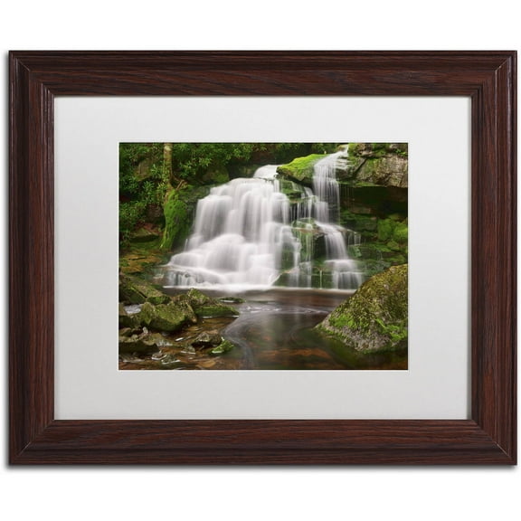 Trademark Fine Art 'Elakala Falls' Canvas Art by Michael Blanchette Photography, White Matte, Wood Frame