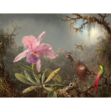 Cattleya Orchid and Three Hummingbirds by Martin Johnson Heade - 12" x 18" Art Print Wall Decor