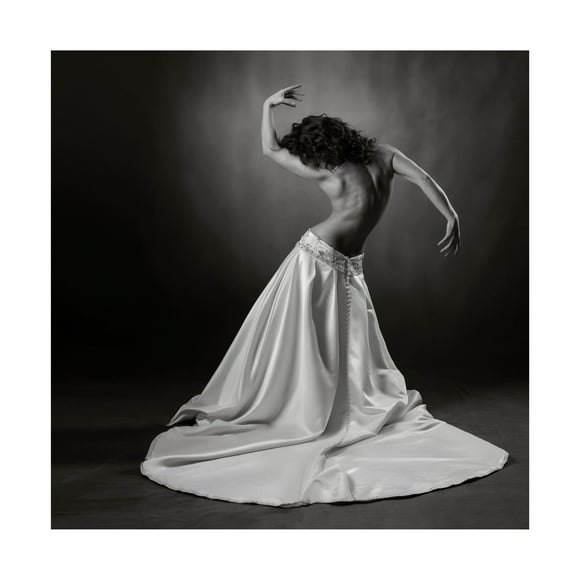 Hugh Wilkinson 'Lets Dance' Canvas Art