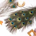 thumbnail image 4 of Plumas de pavo real THARAHT, 24 unidades de largo, naturales, 35-40 cm, para manualidades, 4 of 6