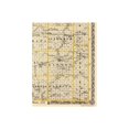 thumbnail image 2 of Historic County Map - Champaign County Illinois  - Warner 1876 - Vintage Wall Art, 2 of 4
