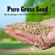 GreenView Pure Grass Seed Kentucky Bluegrass Blend, 3 lb. Bag – Covers up to 3,000 sq. ft.
