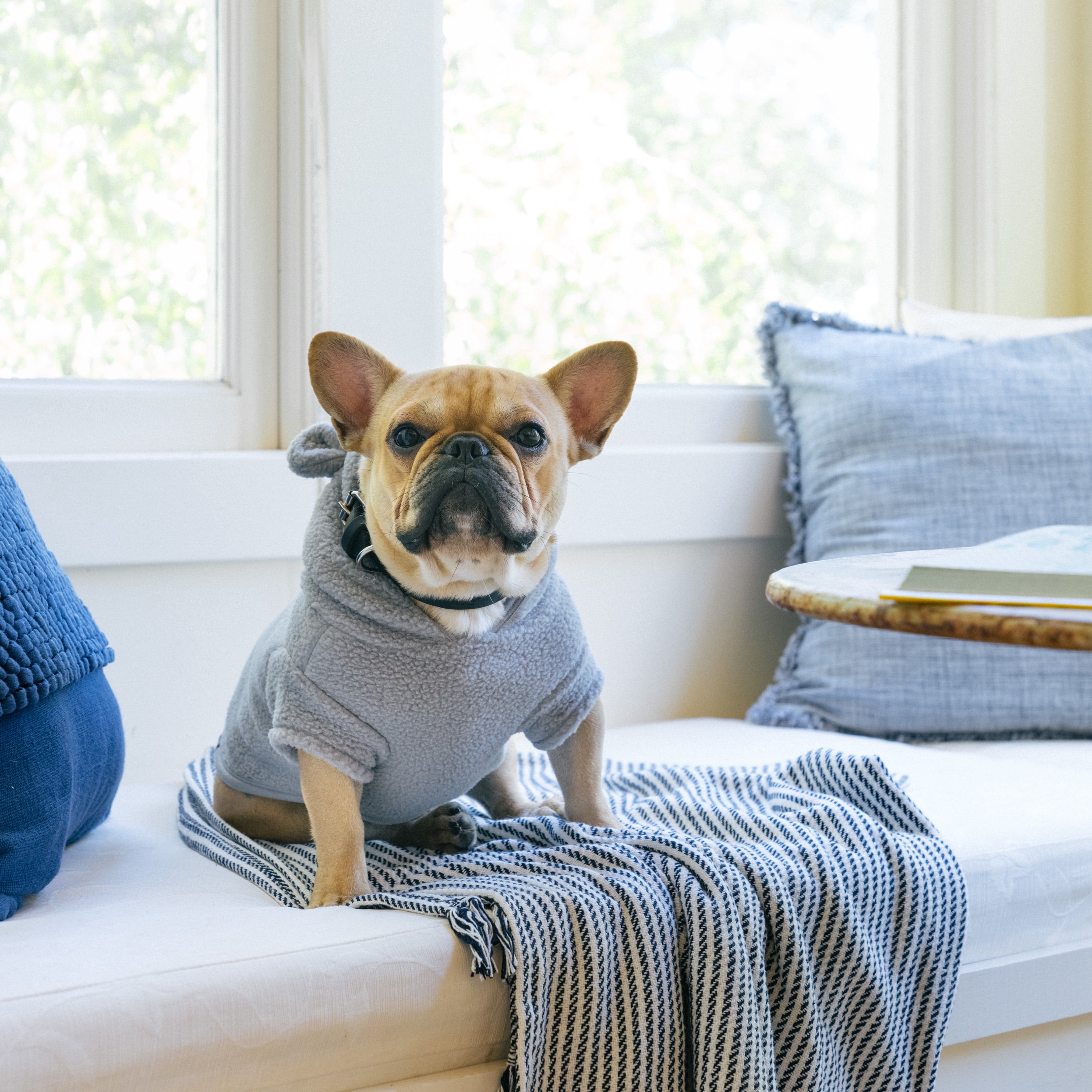 Gap Pet, Dog Clothes, Recycled Gray Sherpa Bear Ear Pet Hoodie