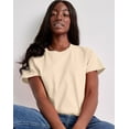 thumbnail image 4 of Hanes Essentials Women’s Cotton T-Shirt, Classic Fit Natural XS, 4 of 4