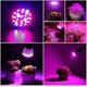 thumbnail image 3 of Luz LED para plantas de espectro completo Luz para plantas de espectro completo 10w E27 Sincero Electrónica, 3 of 5