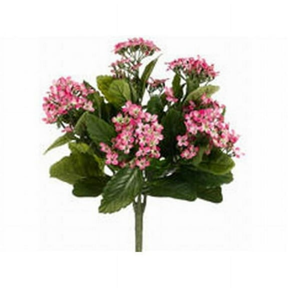 FBK107-PK-TT 13.5 in. Two Tone Pink Kalanchoe Bushes X5- Case of 6