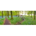 thumbnail image 2 of Frank, Assaf 32x15 White Modern Wood Framed Museum Art Print Titled - Bicycle in spring forest with bunch of flowers, 2 of 4