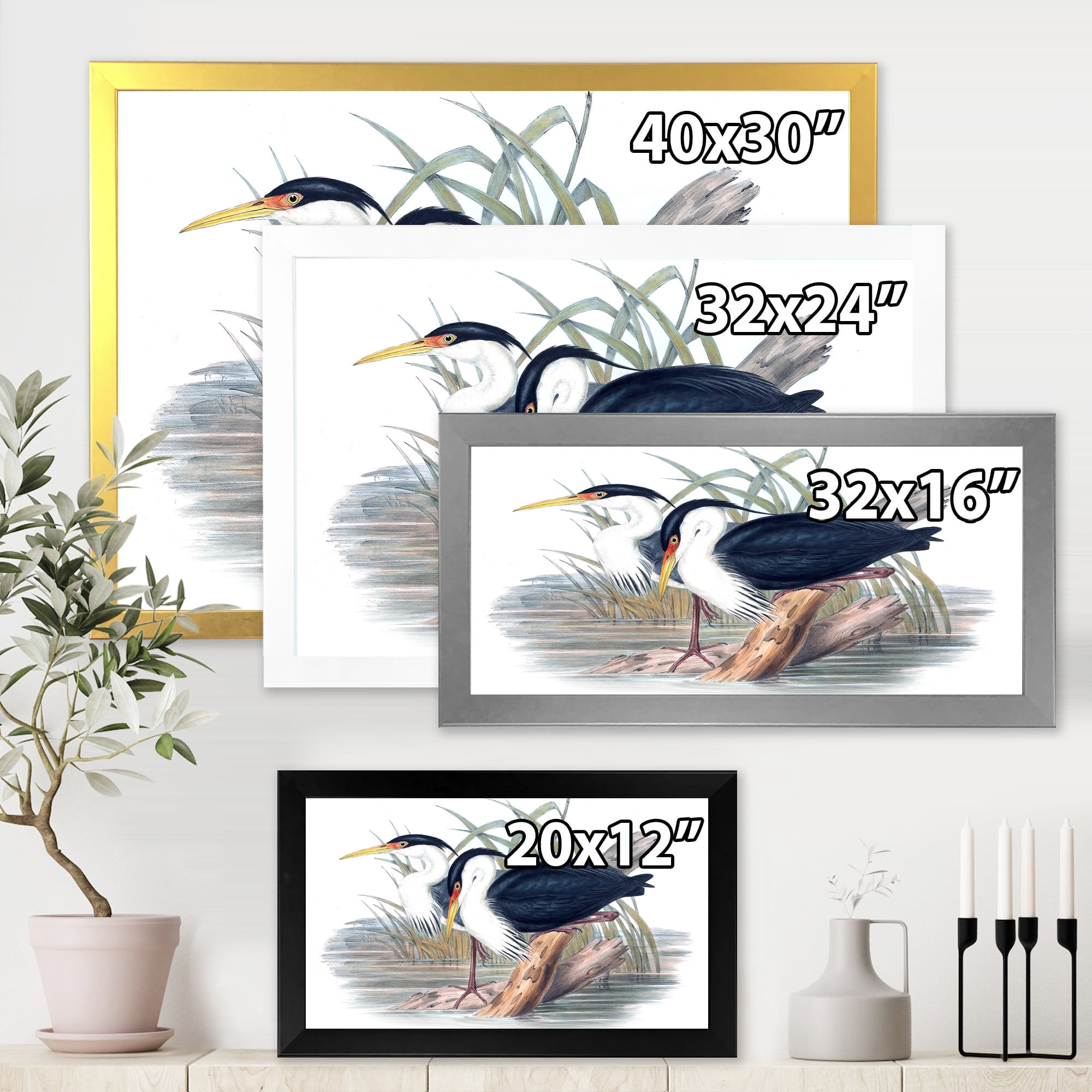 Designart 'Ancient Bird Life II' Traditional Framed Art Print