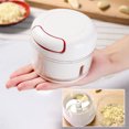 thumbnail image 1 of Labymos New Mini Stainless Steel Garlic Press Punch Garlic Multifunction Vegetable Cutter Garlic Kitchen Tool, 1 of 7