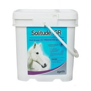 Solitude IGR Feed Through Fly Preventive 20 lb