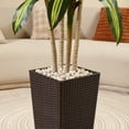 thumbnail image 5 of 7ft UV Resistant Artificial Dracaena Tree with Brown Tall Planter, Pre Potted Fake Plants for Indoor Outdoor Home Decor, Big Faux Tree Fake Plants for Office House Decor, 5 of 10