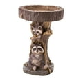 thumbnail image 1 of Estatuilla de estatua de mapache, cuenco de baño para pájaros de jardín, comedero de resina para pájaros silvestres, bebida, balcón, barandilla, exter, 1 of 8