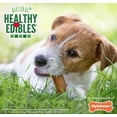 thumbnail image 6 of Nylabone Healthy Edibles Chews Variety Pack Regular, 6 of 6