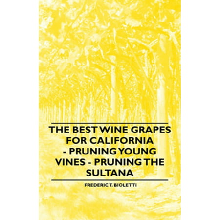 The Best Wine Grapes for California - Pruning Young Vines - Pruning the Sultana - (Best Grapes For Winemaking)