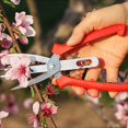 thumbnail image 4 of Double-port Fruit Thinning Shears Gardening Tree Pruning Tool, 4 of 8