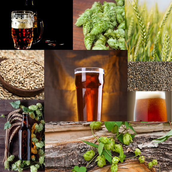 Tapcraft Rye-rish Red Ale Homebrew Beer Recipe Kit – Irish Red with Rye – 5 Gallon Extract   Grain