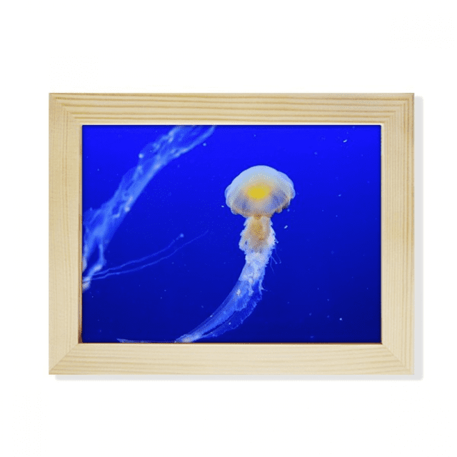 Ocean Jellyfish Science Nature Picture Desktop Photo Frame Picture Art Decoration Painting 6x8 inch