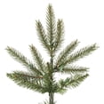 thumbnail image 2 of Vickerman 10' x 66" Carlsbad Fir Tree 2860T - K172485, 2 of 2