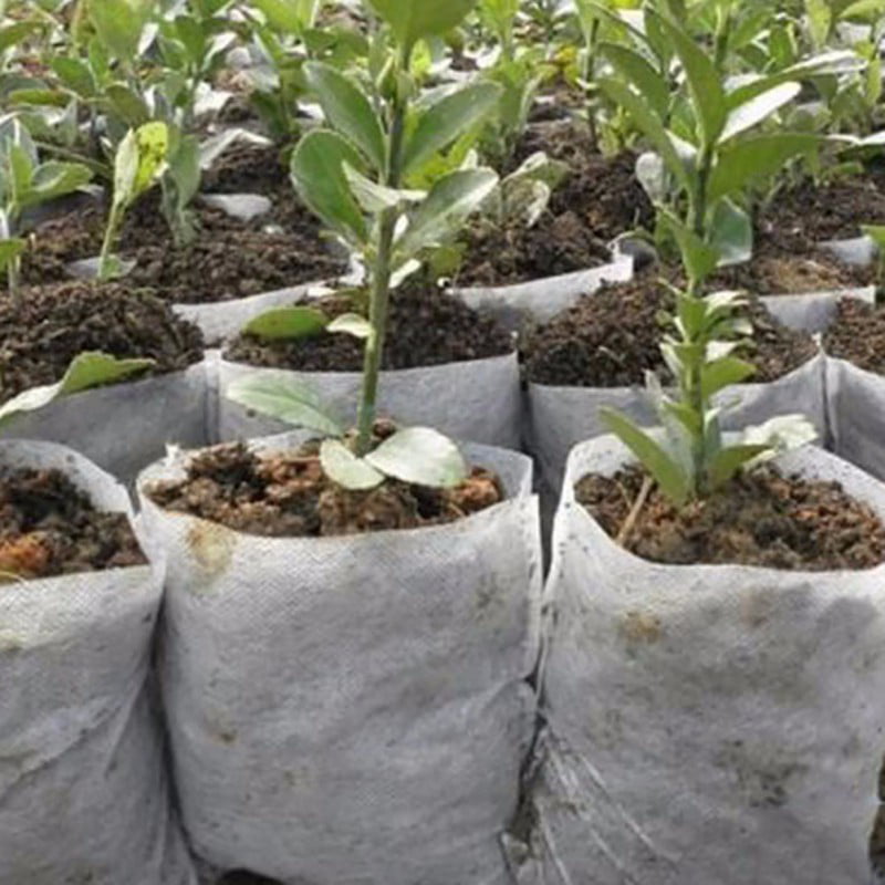 100 Pcs Biodegradable Non-Woven Nursery Bags Plant Grow Bags Set Pots