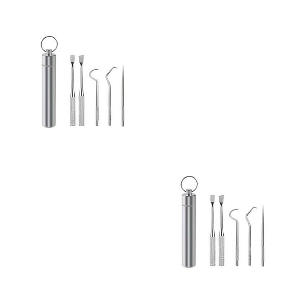 Cateissary Palillo de Limpieza de de viaje Selección Barbacoa Fruta Tenedor Reutilizable Lavable Multifuncional Flosser Flosser con 5PCS 2piezas Cateissary CBP259788
